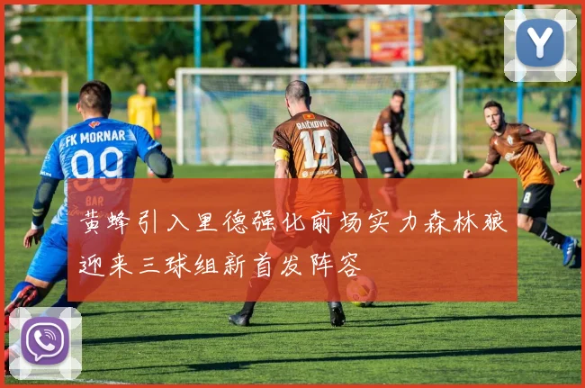 黄蜂引入里德强化前场实力森林狼迎来三球组新首发阵容